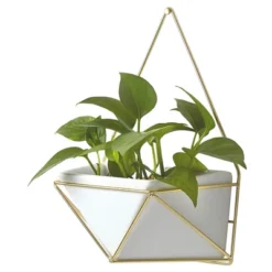 Succulent Wall Geometric Hanging White/Gold - Project 62™ -Furniture Bargain Store GUEST 2836534e daff 4fb8 8ad7 0f482e939ebb