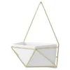 Succulent Wall Geometric Hanging White/Gold - Project 62™ -Furniture Bargain Store GUEST 37fb8570 d26e 496d a3fc 962f6ba1f2e3